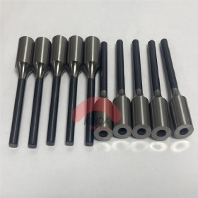 Precision ASP23  piercing punches  with TICN
